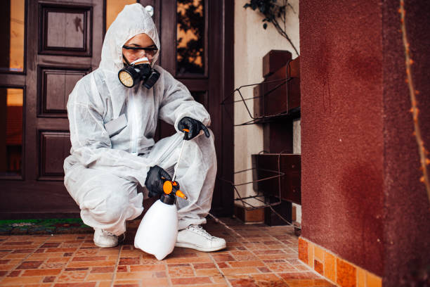 Reliable Cockroach Control contractor in Boyce, LA by Nex Pest Control